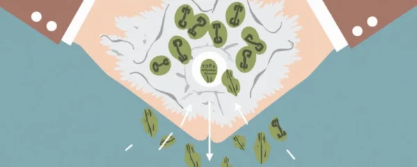 le-passage-d-une-sci-de-l-ir-a-l-is-permet-il-l-amortissement